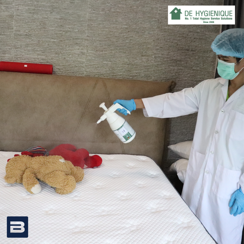 mattress-sanitizing---step-11