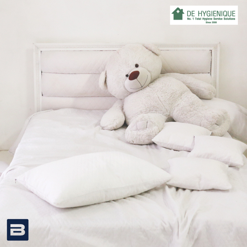 mattress-sanitizing---step-9